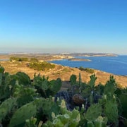 Gozo Private Discovery Tour – Kultur, Natur, lokaler Charme