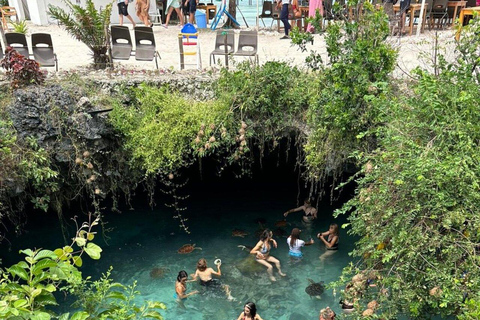 Salaam Cave Swimming & feeding Sea Turtles in Kizimkazi Privite tour with Hotel pickup and drop-off only