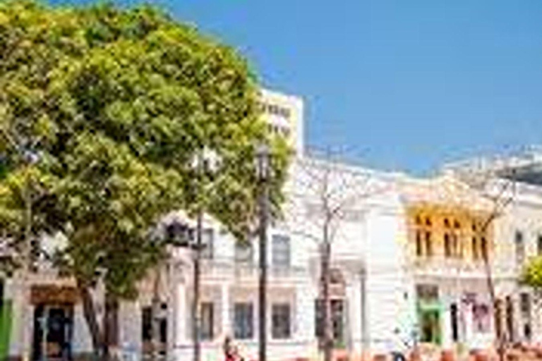 Santa Marta: Explore Minca, Taganga, and a City Tour in Chiva in just one day