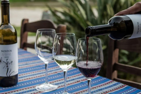 Crete: Wine, Craft Beer, Olive Oil Tasting & Forest Lunch Group tour