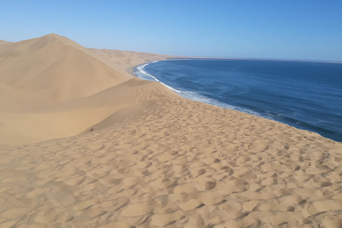 Walvis Bay : Visite du port Sandwich