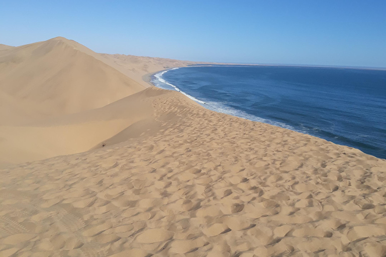 Walvis Bay: Naturskön rundtur i Sandwich Harbour