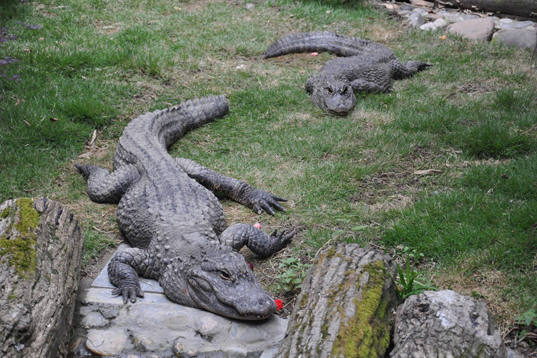 Rio de Janeiro: Ilha da Gigóia Canals and Wildlife Tour