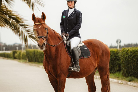 巴库骑马体验：邂逅世界名驹标准套餐