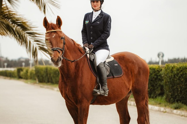 巴库骑马体验：邂逅世界名驹标准套餐