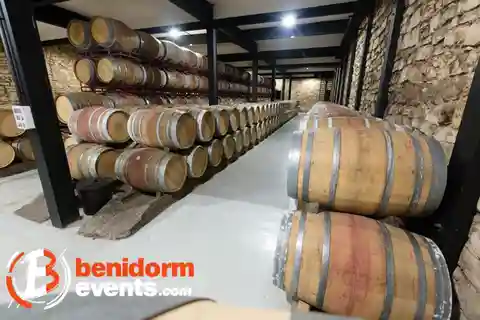 Benidorm: Tour por vinícolas com degustação de vinhos e tapas