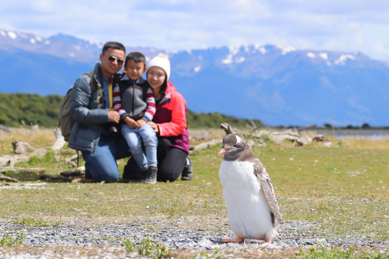 Ushuaia: Martillo Island Full-Day Tour – Walk Among Penguins