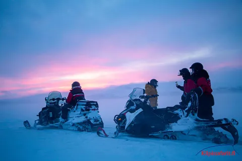 Kilpisjärvi: Safari en moto de nieve por la frontera de tres países