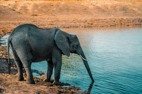 Safari de campismo de 4 dias em Tarangire, Serengeti e Ngorongoro