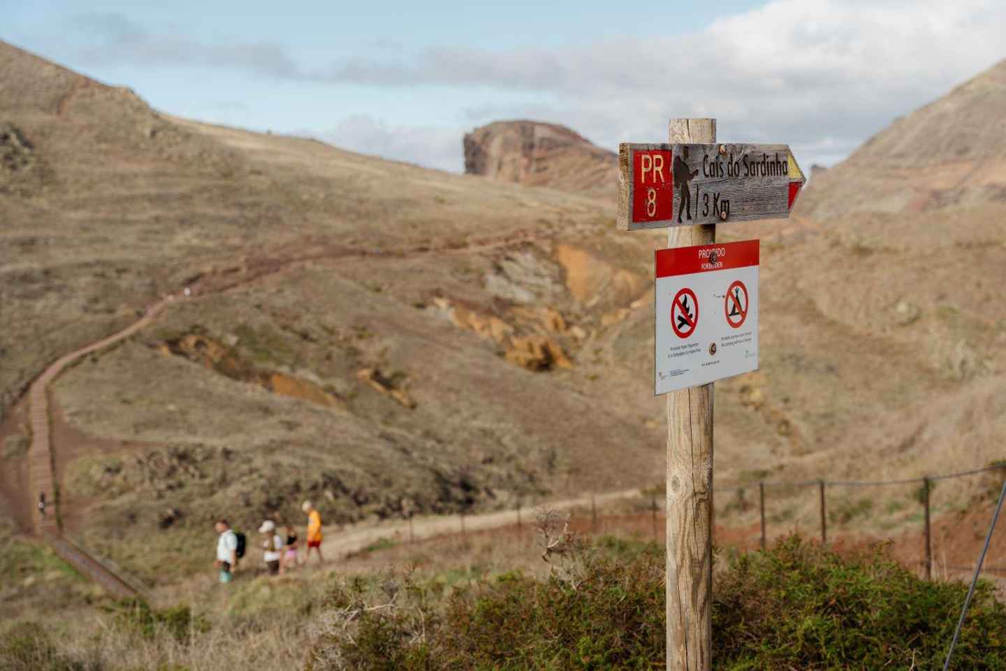 フンシャル発：カニサウからの世界遺産ポンタ・サン・ロウレンソ自分で楽しむハイキング