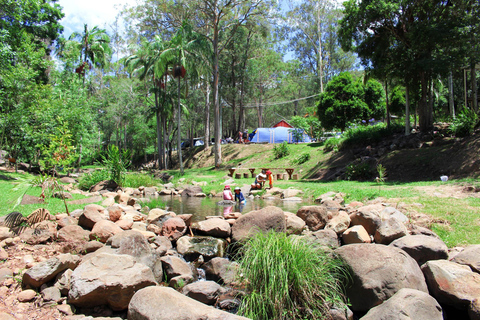 Brisbane: Hop on Hop off Bus to Tamborine Mountain