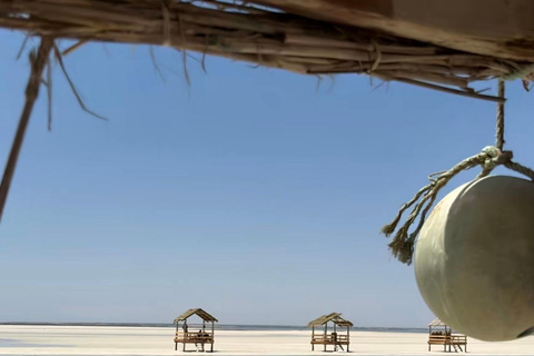 Hessi Jerbi Zarzis Day Trip: The Unmissable Getaway from Djerba