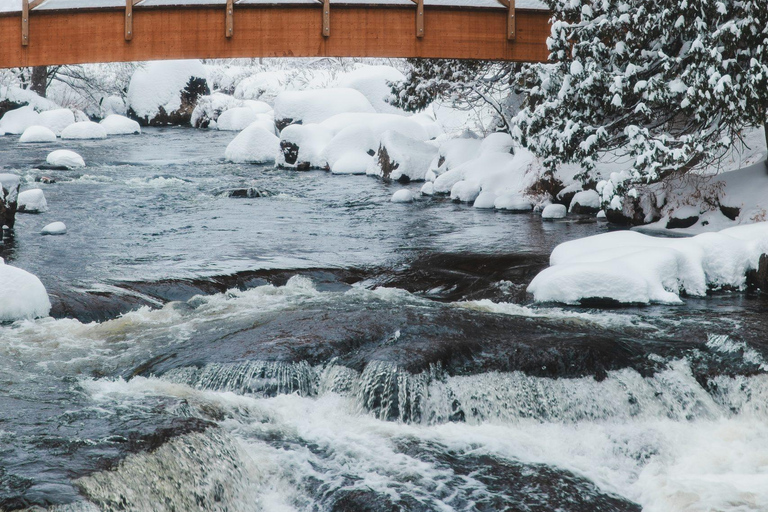 Saint-Sauveur: avslappning i ett nordiskt termalbad