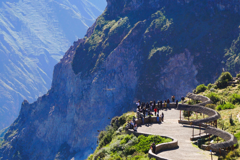 Tour panoramico del Canyon del Colca di 2 giorni con arrivo a Puno Hotel***Tour panoramico del Canyon del Colca di 2 giorni con arrivo a PunoHotel***