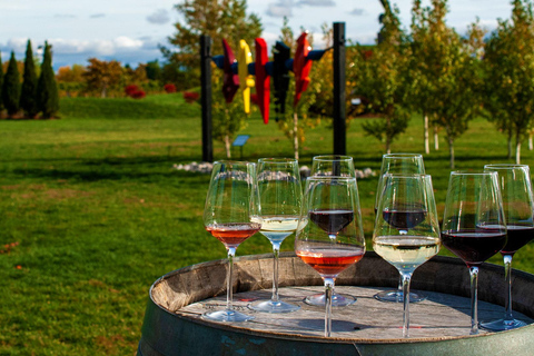 Chutes du Niagara : Visite en petit groupe avec dégustation de vin et croisière