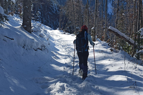Snowshoeing tour to the peak Ostri Vrv on Jakupica mountain