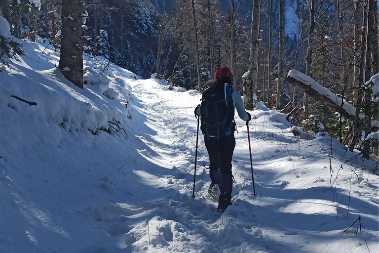 Snowshoeing tour to the peak Ostri Vrv on Jakupica mountain