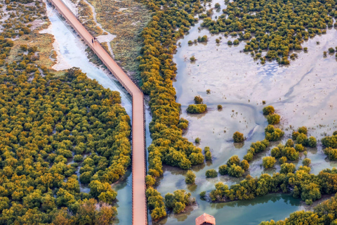 شمال قطر: قلعة الزبارة، قرية الجميل، أشجار القرم في الذخيرة