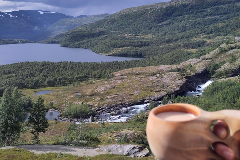 Guided, electric bicycle tour from Vatnahalsen (near Flam) Guided e-bike tour from Vatnahalsen (Myrdal) - Rallarvegen