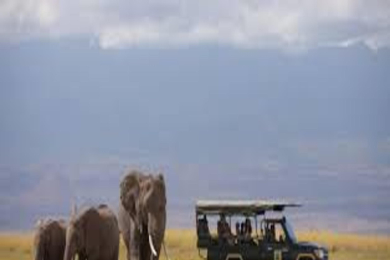 Safari di lusso di 4 giorni nel Parco Nazionale di Amboseli