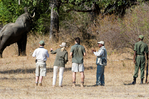 Livingstone: Mosi-oa-Tunya National Park Walking Safari
