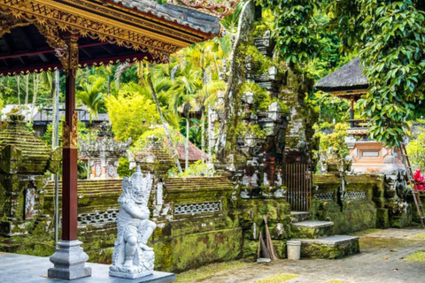 Bali: All-Inclusive Ubud Highlights Tour