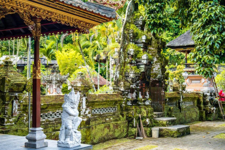 Bali: All-Inclusive Ubud Highlights Tour