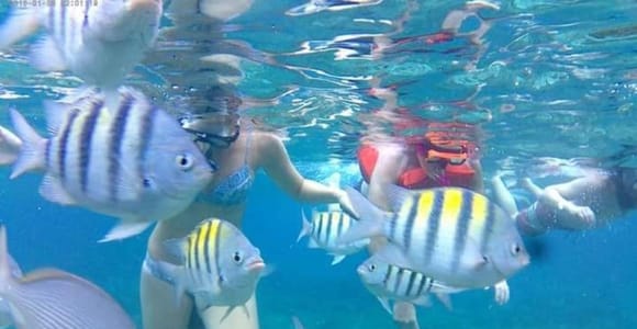 Negril: Booby Cay Island Picnic Tour with Snorkeling