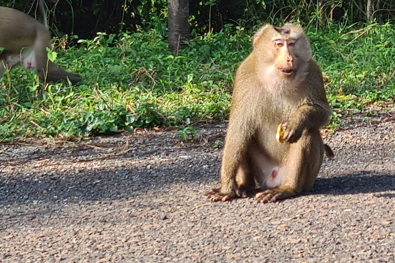 Kampot: Bokor Mountain Tour with locals Bokor Mountain Tour with an Experienced Guide