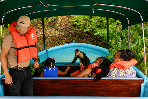 Panama: Monkey Island Sightseeing Tour