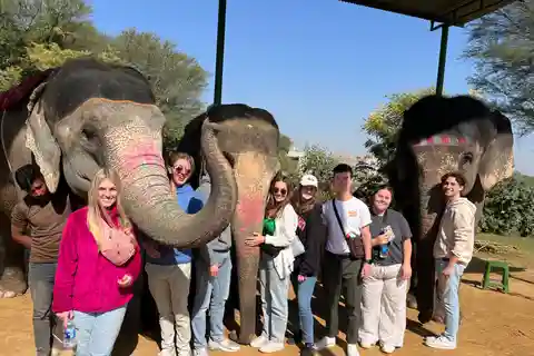 Jaipur: Tour della città con interazione con gli elefanti