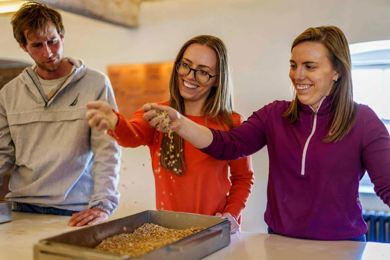 Dublin: Castles & Whiskey Tour