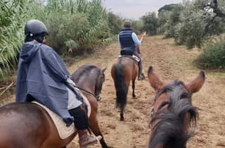 Ab Sevilla: Reitausflug in Doñana