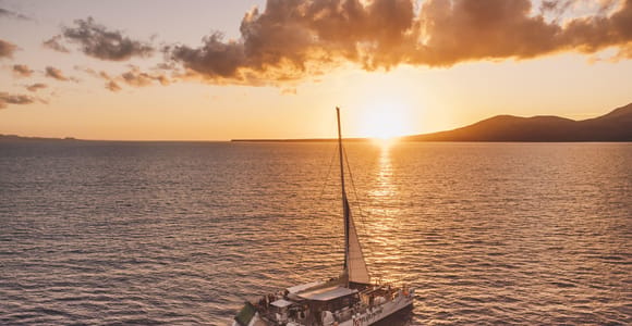 Lanzarote: Dolphin-Watching Sunset Cruise with Transfers