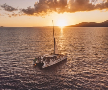 Lanzarote: Dolphin-Watching Sunset Cruise with Transfers