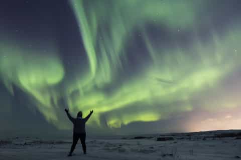 Iceland: Northern Lights Bus Tour from Reykjavik