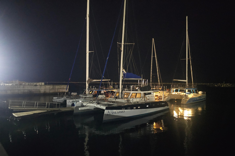 Mirissa: Stargazing Yacht Cruise with Dinner and Wine