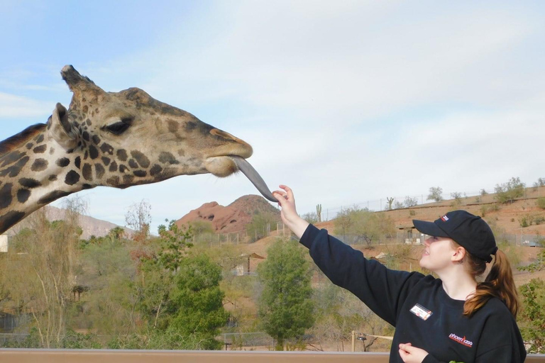 Phoenix Zoo Admission Ticket with ZooLights Option Phoenix ZooLights Entry Ticket