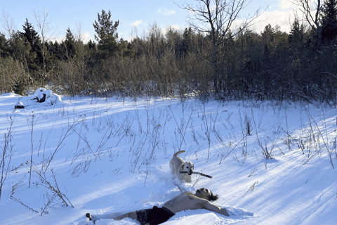 The Estonian Day Retreat at Lahemaa National Park