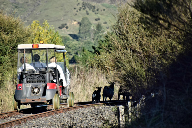 New Zealand: Guided 26-Day North Island Tour with Camping