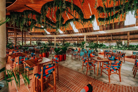 Bali/Canggu: Atlas Beach House Day Pass Full Day Pass