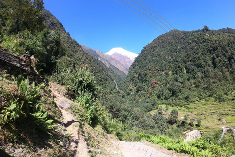 Pokhara: 7-Day Annapurna Base Camp & Jhinu Hot Springs Trek