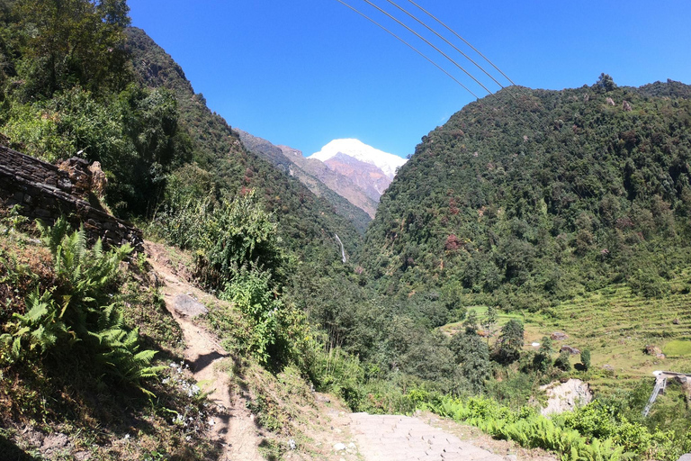 Pokhara: 7-Day Annapurna Base Camp & Jhinu Hot Springs Trek