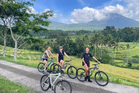 Bali: Rice Fields, Bird Village, Hot Springs cycling Tour