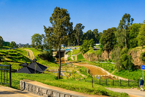 Addis Abeba Kebena Boat Excursion & Park Tour with Lunch