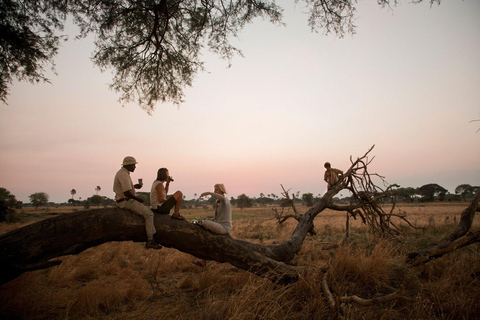 Serengeti: 7-dagars safari med den stora migrationen med flyg