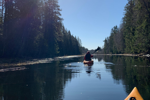 Oslo: Guided Kayak Tour on Lake Langen with Lunch