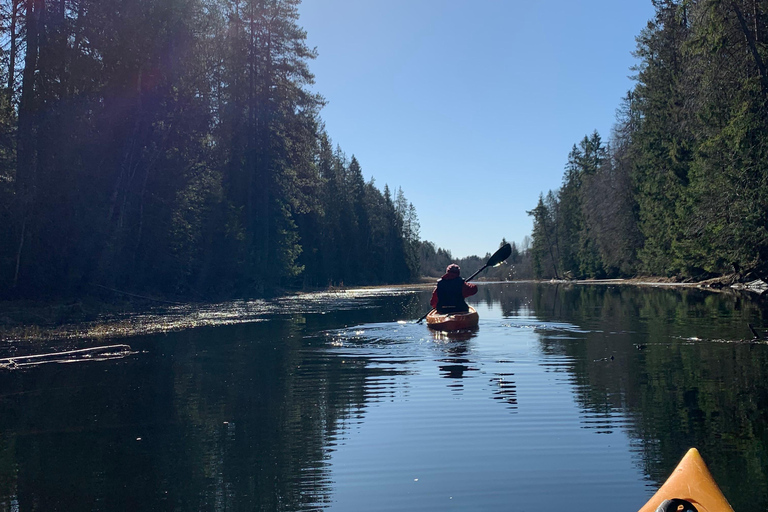 Oslo: Guided Kayak Tour on Lake Langen with Lunch