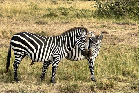 Nairobi: 3-Day Naivasha Wildlife & Flower Farm Tour