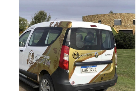 Colonia: Winery, Olive Oil & Gourmet Lunch Tour